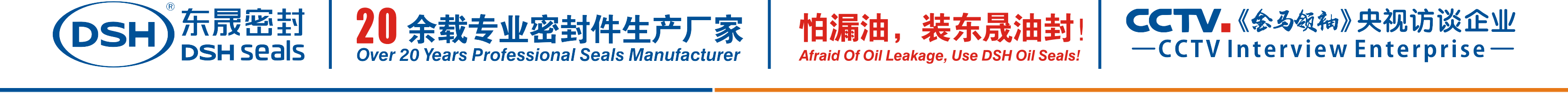 怕漏油，裝東晟油封！
