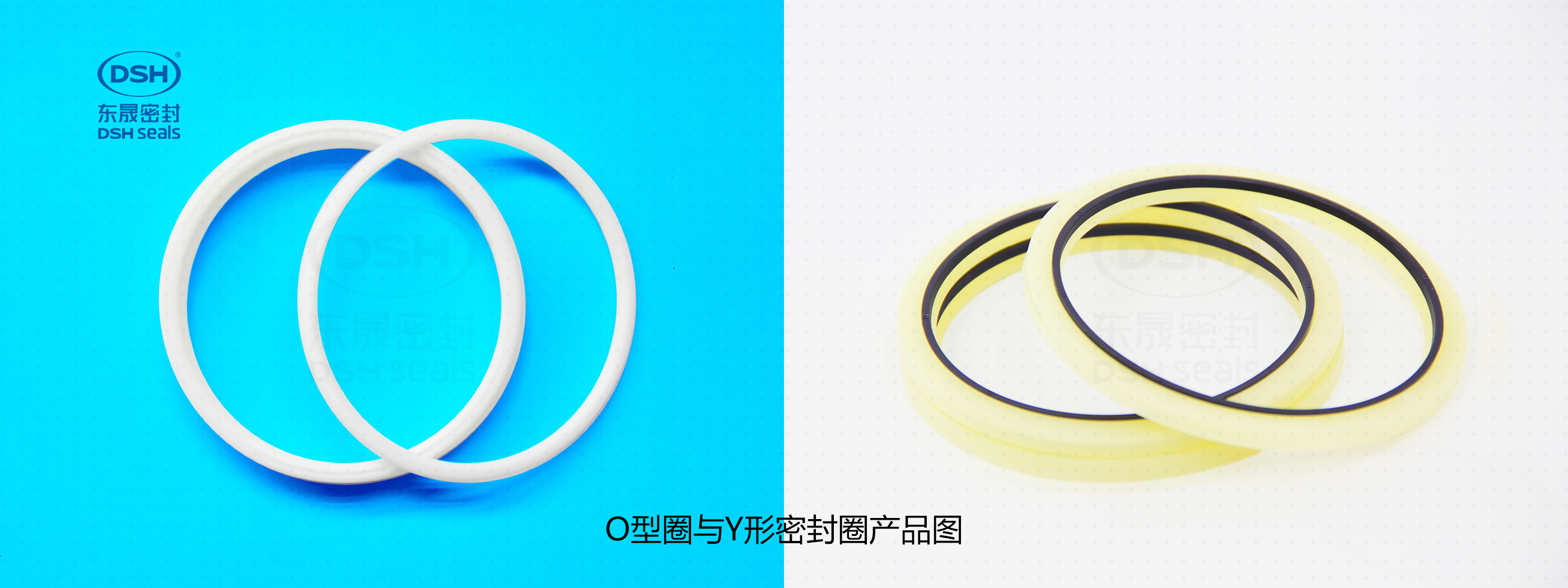 Y形密封圈與O型圈產(chǎn)品圖