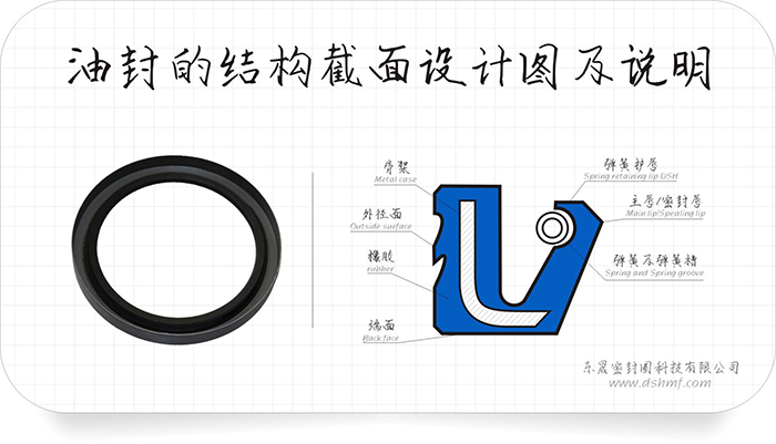 油封的外緣部4種泄漏方式及9條原因分析匯報！油封的唇口10種泄漏原因及26條分析結(jié)果表！