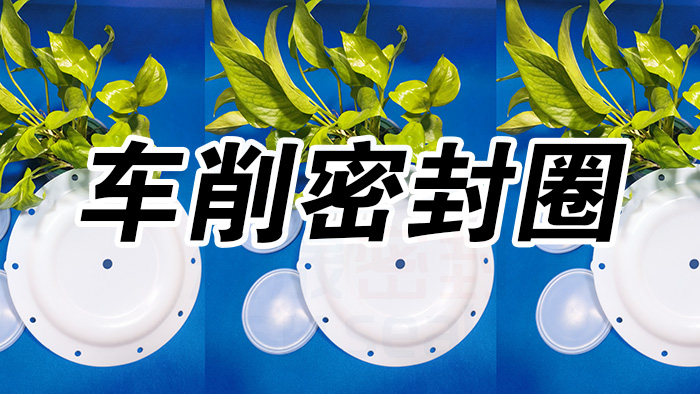 2車削密封圈，氣動隔膜泵膜片密封件