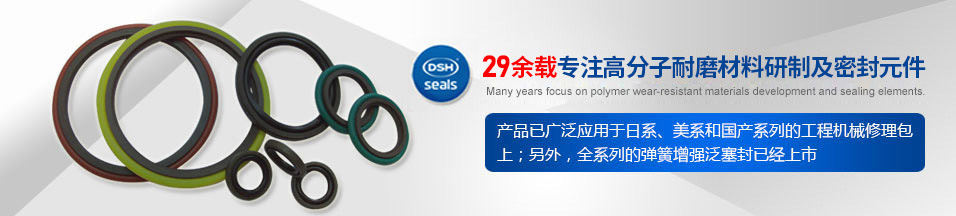 孔用組合密封圈SPGO - 挖掘機(jī)修理包,廣東東晟密封件網(wǎng)|專業(yè)生產(chǎn)研發(fā)挖掘機(jī)密封圈