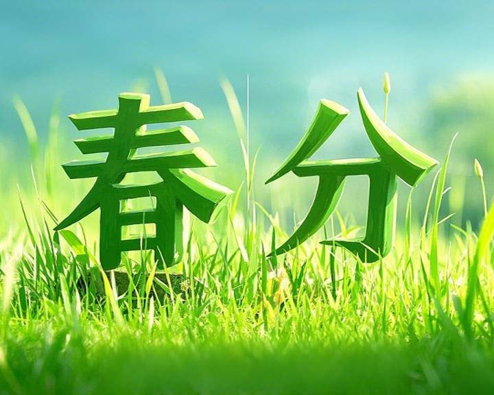 春分啟衡·東晟智封丨0.01毫米的陰陽相濟之道！